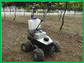 Scouting And Spraying Robot